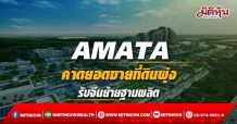 AMATA คาดยอดขายที่ดินพุ่ง รับจีนย้ายฐานผลิต