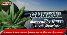 GUNKUL ลั่นผลงานปี65โตแรง EPCพีค-กัญชงทำเงิน(05/04/65)