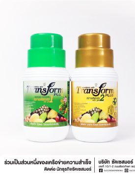 ซัคเซสมอร์ ส่งผลิตภัณฑ์ทรานส์ฟอร์ม ฉีกกฏการกินอาหารของพืชครบ 24 ชั่วโมง ภายใต้แบรนด์ Growing more ลดต้นทุน และเพิ่มผลผลิตให้เกษตรกรไทย