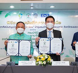 “SYS” เหล็กไทย หัวใจกรีน ร่วมลงนามความร่วมมือ กรมป่าไม้ และภาคีเครือข่าย