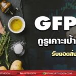 120565_๒๒๐๕๑๒_6