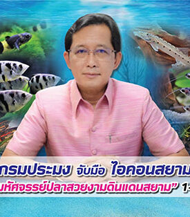 กรมประมง จับมือ ไอคอนสยาม ร่วมเปิดโลก “มหัศจรรย์ปลาสวยงามดินแดนสยาม” 1-5 มิถุนายน นี้