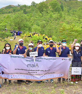 สมาคม maiA ร่วมคืนผืนป่า 65 ไร่ จ. แพร่ ในโครงการ Care the Wild “ปลูกป้อง” Plant & Protect
