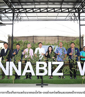 รองผู้ว่าราชการจังหวัดสระบุรี ให้เกียรติ “Cannabiz Way” บริษัทย่อยใน “EE” ร่วมพิธีตัดเก็บช่อดอกกัญชงพร้อมเปิดงาน “เทศกาลดอกกัญชงกัญชาบาน 1 DAY TRIP” สนับสนุนสร้างเป็นจุดเช็กอินแห่งใหม่ของสระบุรี