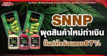 SNNP ผุดสินค้าใหม่ทำเงิน ปั๊มกำไรร้อนแรง67%
