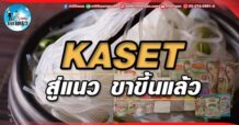 เด็กแนว (บ่าย) KASET : สู่แนว ขาขึ้นแล้ว