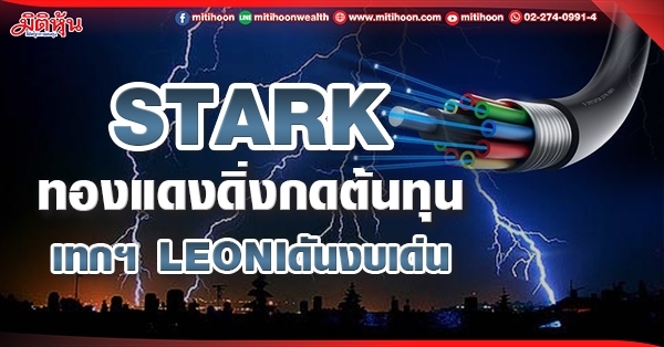 STARK  ทองแดงดิ่งกดต้นทุน เทกฯ LEONI ดันงบเด่น