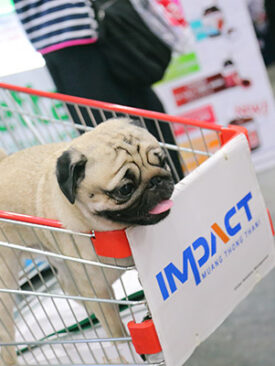 อิมแพ็ค เตรียมจัดงานไทยแลนด์ อินเตอร์เนชั่นแนล ด็อก โชว์ 2022 ฉลองครบรอบปีที่ 20