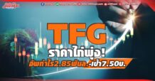 TFG ราคาไก่พุ่ง! อัพกำไร2.85พันล.-เป้า7.50บ.