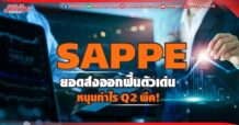 SAPPE ยอดส่งออกฟื้นตัวเด่น หนุนกำไรQ2พีค!