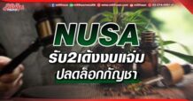 NUSA  รับ2เด้งงบแจ่ม  ปลดล็อกกัญชา