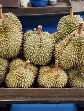 ไปรษณีย์ไทย เปิดตัวกล่องส่งทุเรียนไซส์เอสพลัส ถนอมความสดใหม่จากสวนถึงปลายทาง พร้อมเดินหน้าบริการส่งผลไม้ราคาเหมาจ่าย เริ่มต้น 3 กิโลแรกเพียง 50 บาท