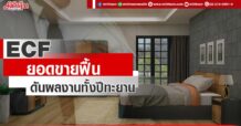 ECF  ยอดขายฟื้น  ดันผลงานทั้งปีทะยาน