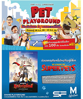 เดอะมอลล์ ร่วมกับ เอส เอฟ และ Warner Bros. เปิดฉากความสนุกจากจอหนังสู่กิจกรรม ชวนผจญภัยครั้งใหม่กับคู่ซี้สี่ขา DC LEAGUE OF SUPER-PETS