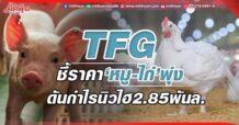 TFG ชี้ราคา‘หมู-ไก่’พุ่ง ดันกำไรนิวไฮ 2.85 พันล.
