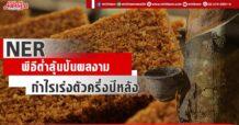 NER  พีอีต่ำลุ้นปันผลงาม  กำไรเร่งตัวครึ่งปีหลัง