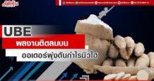 UBE  ผลงานติดลมบน  ออเดอร์พุ่งดันกำไรนิวไฮ