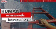 HUMAN  ตลาดแรงงานฟื้น  โบรกฯเคาะเป้า14.50บ.