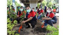 AIS Go Green รวมพลัง 17 พันธมิตรกลุ่มกรีนพหลโยธิน และเขตพญาไท เดินหน้าสร้างพื้นที่สีเขียวทั่วกทม.ต่อเนื่อง กับเป้าหมายปลูกต้นไม้ 100,000 ต้น