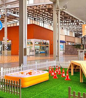 เดอะไนน์ เซ็นเตอร์ ติวานนท์ ชวนคุณและสัตว์เลี้ยงคู่ใจ มาฟินบนพื้นที่แห่งความสนุก ที่โซน PET PLAYS