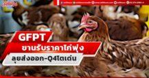 GFPT ขานรับราคาไก่พุ่ง ลุยส่งออก-Q4โตเด่น