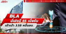 BLA มั่นใจปี 65 เบี้ยรับเข้าเป้า 3.58 หมื่นลบ. ขณะที่ปี 66 เน้นประกันที่มีปันผล ให้ผลตอบแทน 3-4%