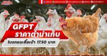 GFPT ราคาต่ำน่าเก็บ โบรกแนะซื้อเป้า 17.50 บาท
