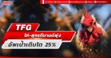 TFG ไก่-สุกร ดีมานด์พุ่ง อัพเป้าผลงานโต 25%