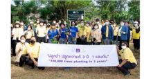 กรุงไทย–แอกซ่า ประกันชีวิต บรรลุเป้าหมายใหญ่ ปลูกต้นไม้ครบ 100,000 ต้น ตอกย้ำผู้นำ Green Insurer สร้างพื้นที่สีเขียวทั่วประเทศไทย