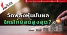 วัดพลังหุ้นปันผล ใครให้ยิลด์สูงสุด?