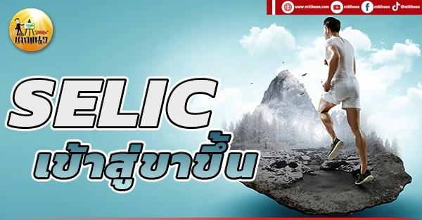 เด็กแนว (เช้า) SELIC : เข้าสู่ขาขึ้น