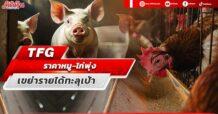 TFG  ราคาหมู-ไก่พุ่ง  เขย่ารายได้ทะลุเป้า