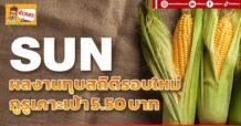 SUN ผลงานทุบสถิติรอบใหม่ กูรูเคาะเป้า 5.50 บาท
