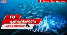 TU กูรูอัพกำไรปี66โต Red Lobster ฟื้น