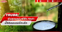 TRUBB หุ้นสุดแกร่งพีอี 5.73 เท่า ปี 66 ออเดอร์ทะลัก