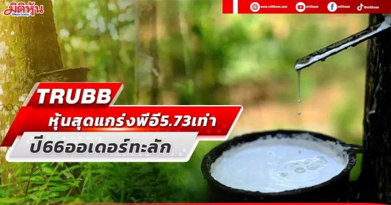 TRUBB หุ้นสุดแกร่งพีอี 5.73 เท่า ปี 66 ออเดอร์ทะลัก