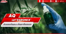 AQ เฮ!‘EGRONIX’ ส่งมอบกัญชง-กัญชาล็อตแรก