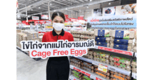 MAKRO เดินหน้าส่งเสริมสวัสดิภาพสัตว์ จับมือพันธมิตรผลิตไข่ไก่จากแม่ไก่อารมณ์ดี ตั้งเป้าขยายการรับซื้อ-จำหน่าย ในราคาที่เอื้อมถึงได้แก่ผู้บริโภคและผู้ประกอบการ