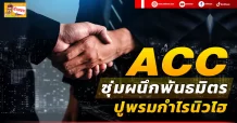 ACC ซุ่มผนึกพันธมิตร ปูพรมกำไรนิวไฮ