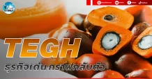 เด็กแนว (เช้า) TEGH : ธุรกิจเด่น กราฟกลับตัว