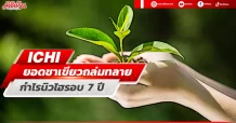 ICHI ยอดชาเขียวถล่มทลาย กำไรนิวไฮรอบ7ปี