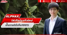 ALPHAX  ใส่เกียร์ธุรกิจใหม่  ปั๊มรายได้เกิน100%