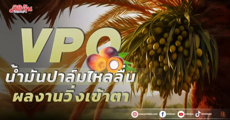 VPO น้ำมันปาล์มไหลลื่น ผลงานวิ่งเข้าตา