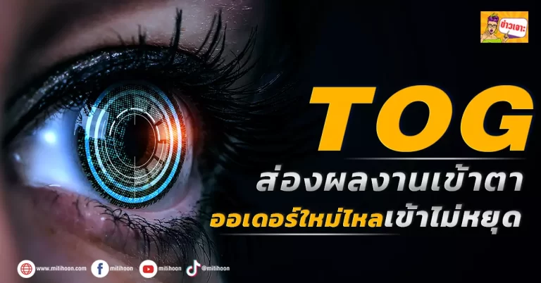 TOG ส่องผลงานเข้าตา ออเดอร์ใหม่ไหลเข้าไม่หยุด