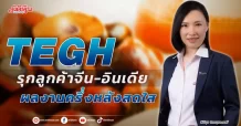 TEGH  รุกลูกค้าจีน-อินเดีย ผลงานครึ่งหลังสดใส