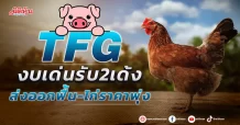 TFG งบเด่นรับ2เด้ง ส่งออกฟื้น-ไก่ราคาพุ่ง