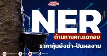 NER ต้านทานศก.ถดถอย ราคาหุ้นยังต่ำ-ปันผลงาม