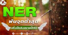 NER พ้นจุดต่ำสุด ครึ่งหลังสยายปีกโต