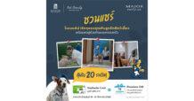 เมเจอร์ ดีเวลลอปเม้นท์ เอาใจ Pet Lover ชวนแชร์โมเมนต์รัก “น้อง” กับแคมเปญ “MAJOR Pet Family Residences สัตว์เลี้ยงคือครอบครัว”
