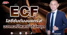 ECF   ไฮซีซันดันงบแกร่ง!  ออเดอร์ไหลเข้าไม่หยุด